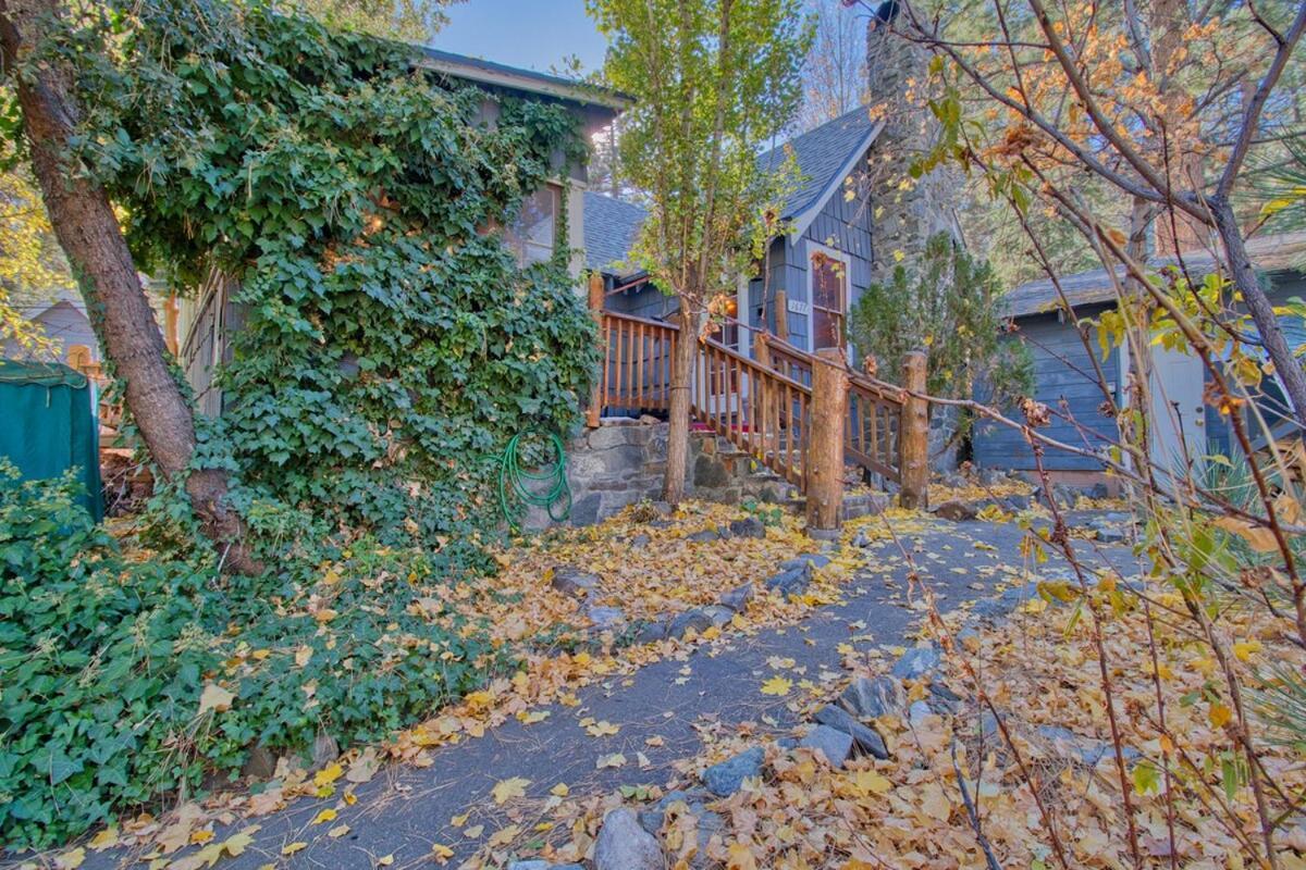 Ray'S Dear Cottage Wrightwood Bagian luar foto